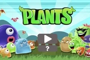 Plants